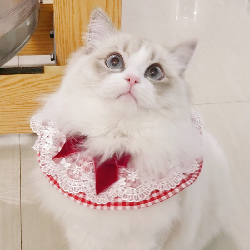 Cute Cat Dog Scarf Photo Jewelry