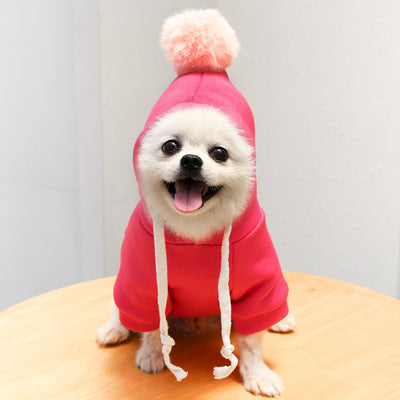 Autumn Cartoon Sweater Dog And Cat Clothes